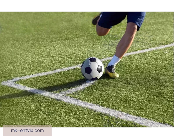 探索世界杯买球入口最新资讯与安全玩法全面指南